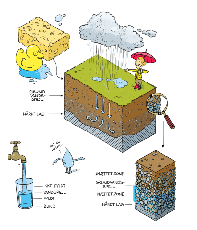 Illustration af regnvands der siver ned i jorden og danner grundvand. Det minder om en svamp som bliver fyld op med regnvandet i de små hulthuller i svampen.